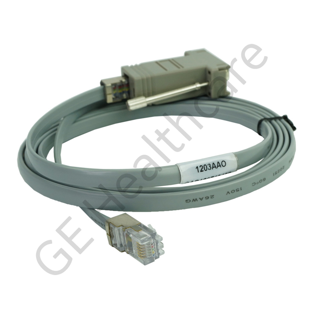 Direct 120 Series to FM I/C Cable