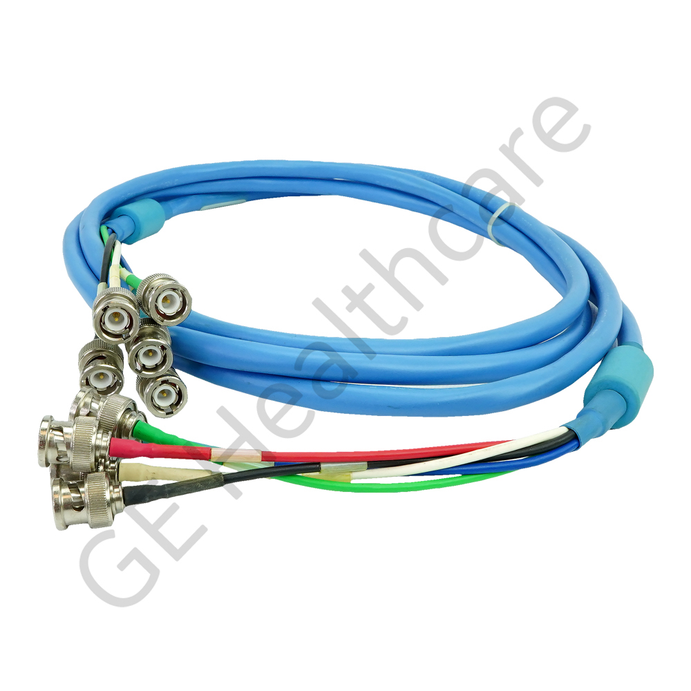 BNC to BNC 5 conductor 10 ft cable