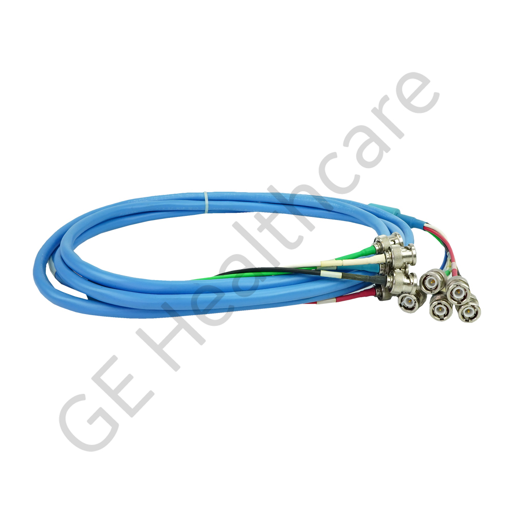 BNC to BNC 5 conductor 10 ft cable