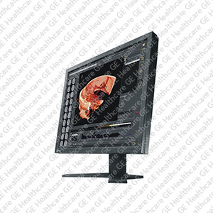MX191 1 MP LCD Backlight Monitor MX191 1 MP LCD Backlight Monitor