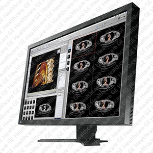 EIZO MX300W 4 MP LCD Monitor