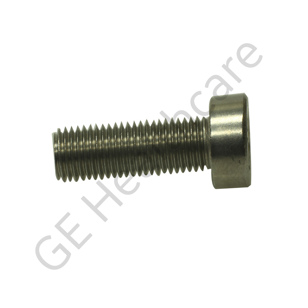 Screw M6 X 25 Socket Head Capacitor Stainless Steel